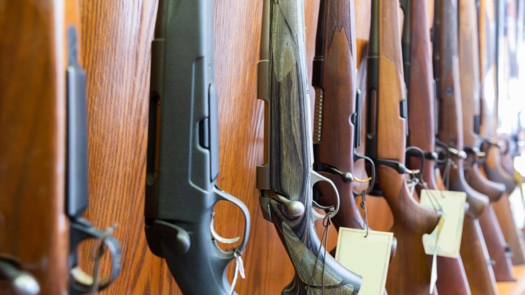 Florida bill lowering gun-buying age to 18 passes House