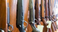 Florida bill lowering gun-buying age to 18 passes House