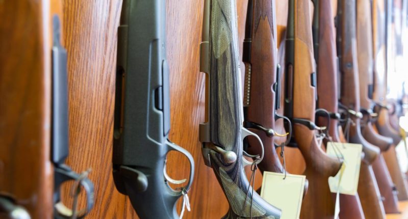 Florida bill lowering gun-buying age to 18 passes House