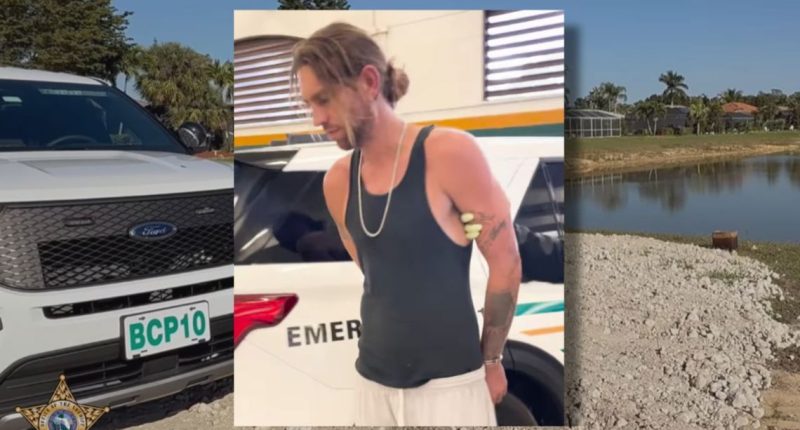 Florida man accused of killing 2 cats, placing their heads on someone's mailbox