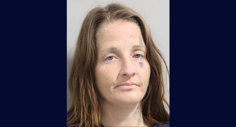 Florida woman allegedly flees while out on bond for fleeing