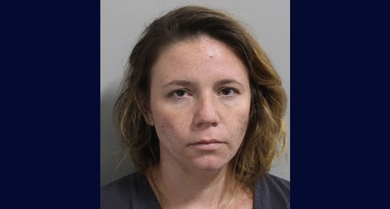 Florida woman allegedly used dog to attack investigators