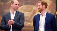 Former Royal Staffer Reflects on How Close Prince William and Prince Harry Once Were: 'They Were a Team'