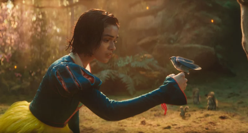 Full Timeline of What Happened