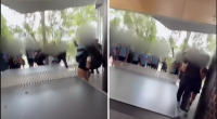 Alleged brawl at Sydney High School.