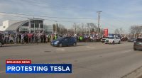 Group holds Lisle protest outside Tesla car dealership in opposition of Donald Trump, Elon Musk's DOGE cuts