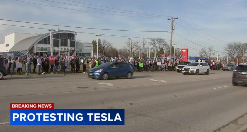 Group holds Lisle protest outside Tesla car dealership in opposition of Donald Trump, Elon Musk's DOGE cuts