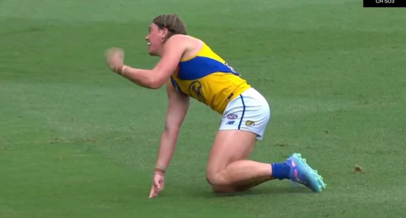 Harley Reid learns his fate over X-rated act - as a Brownlow medallist goes in to bat for the young Eagles star after his rocky start to the season