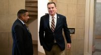 House Republicans advised to avoid in-person town halls amid protests