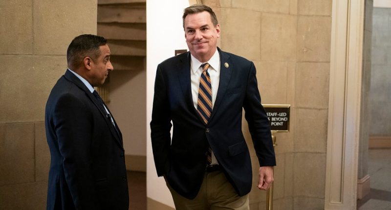House Republicans advised to avoid in-person town halls amid protests