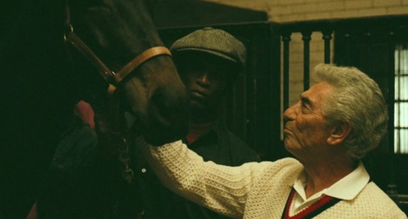 How Real Is The Horse Head Scene In The Godfather?