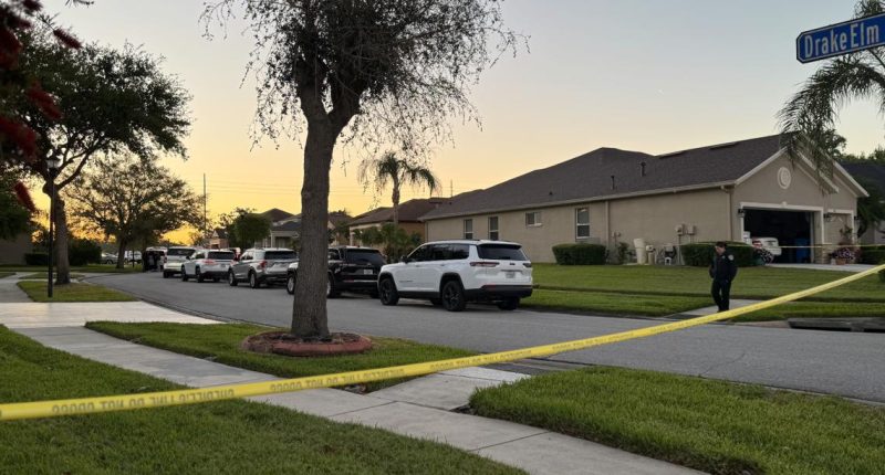 Husband murders wife's new boyfriend at Valrico home, deputies say