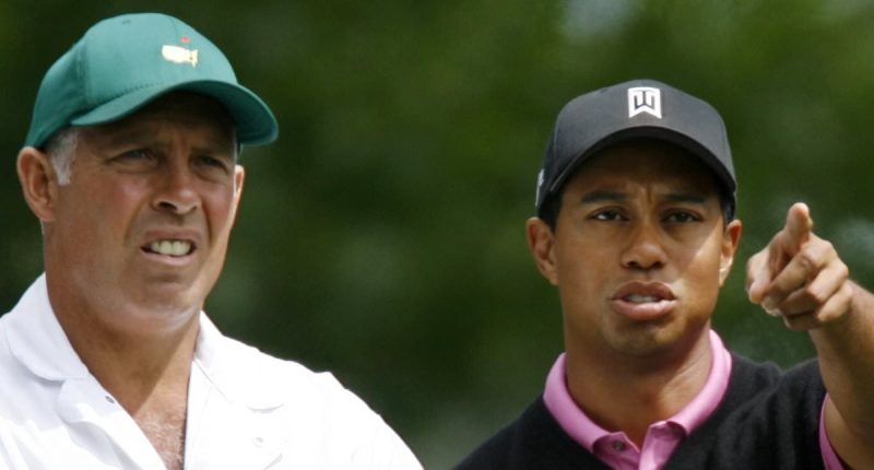 I stuck by Tiger Woods as he brushed off sex scandals and conquered the world... but it came crashing down when I was unfaithful