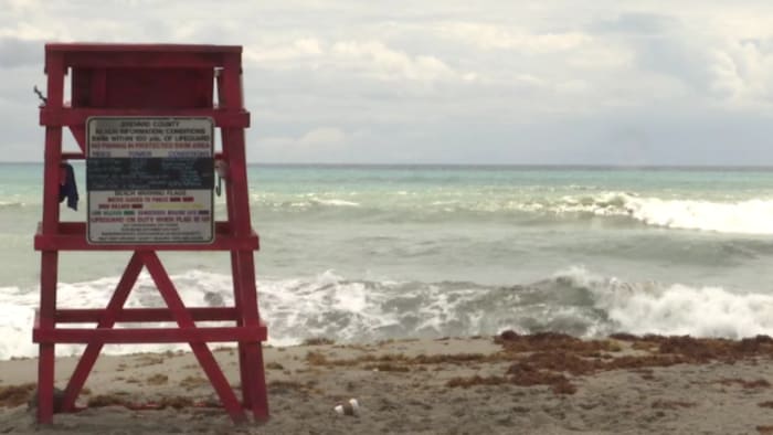 Indian Harbor Beach to start non-resident paid parking. See when