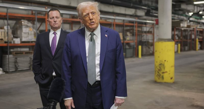 Inside Trump's strategy for Putin call as he demands Ukraine ceasefire deal with 'all options' on the table at any price