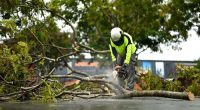 Crews work on the removal of fallen trees from a retail precinct in the suburb of Everton Park this week.