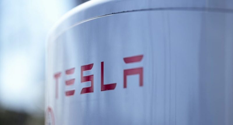 International auto show pulls Tesla over safety concerns