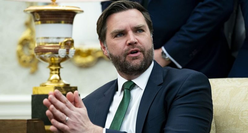 JD Vance defends the strength of the American economy and EU tariffs