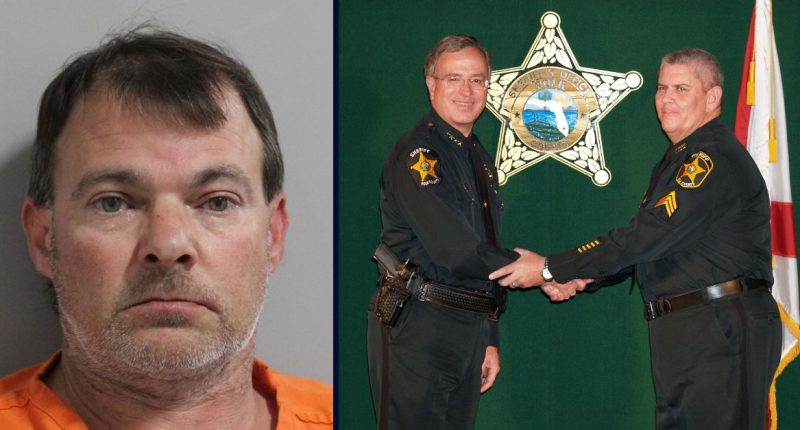 Jaguar driver kills retired deputy clearing debris: Sheriff