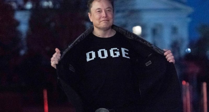 Judge finds Elon Musk likely acted unconstitutionally in shuttering USAID