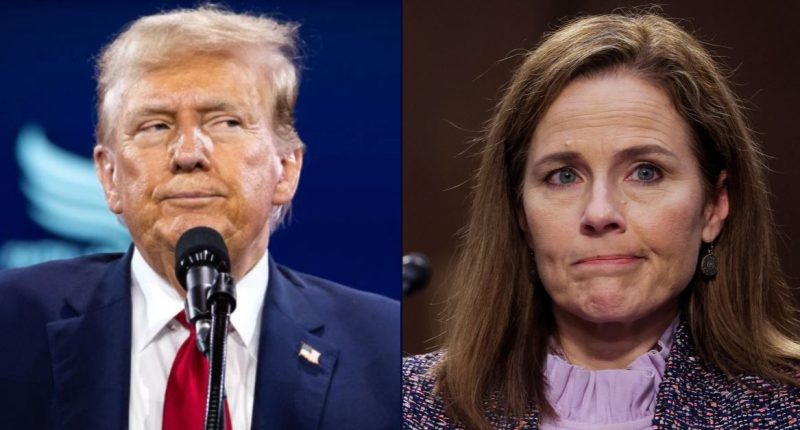 Judge name-drops Barrett in Trump, DOGE-led firing fight