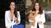 Kyle Richards Almost Bought Home Across From Lisa as Lisa Throws Shade
