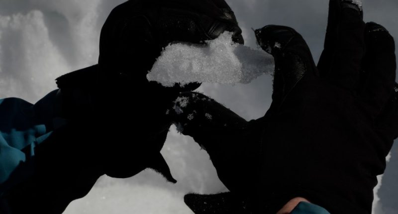 Life-saving avalanche forecasts could be hindered by Trump budget cuts