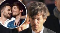 Louis Tomlinson 'Could Never' Perform With 1D Again, PR Manager Says