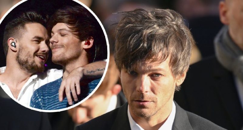 Louis Tomlinson 'Could Never' Perform With 1D Again, PR Manager Says