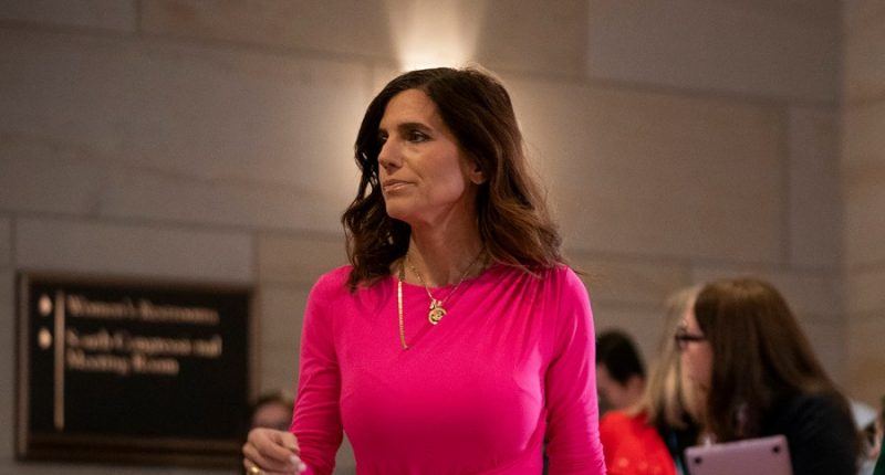 Man accused by Rep. Nancy Mace of being 'sexual predator' sues for defamation