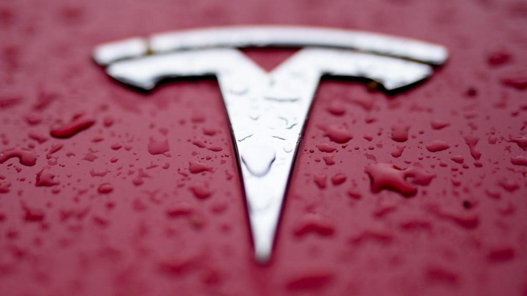 Man drives into Tesla protesters in Florida, gets arrested