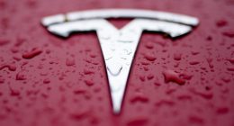 Man drives into Tesla protesters in Florida, gets arrested
