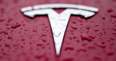 Man drives into Tesla protesters in Florida, gets arrested