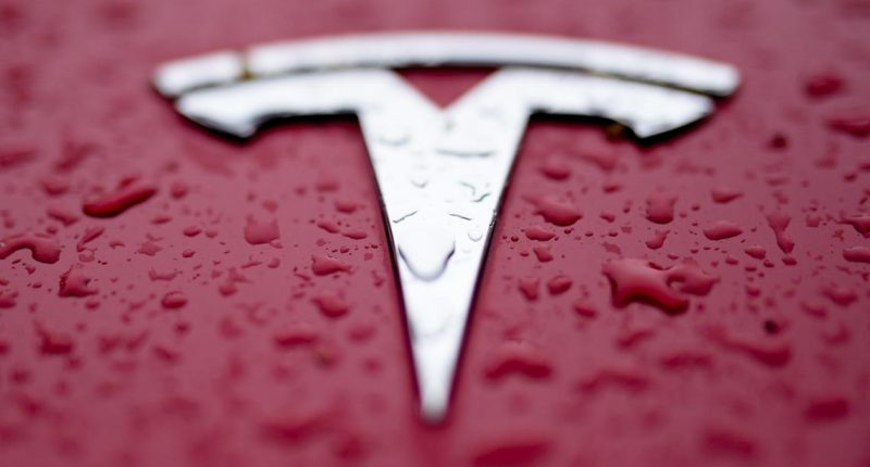 Man drives into Tesla protesters in Florida, gets arrested