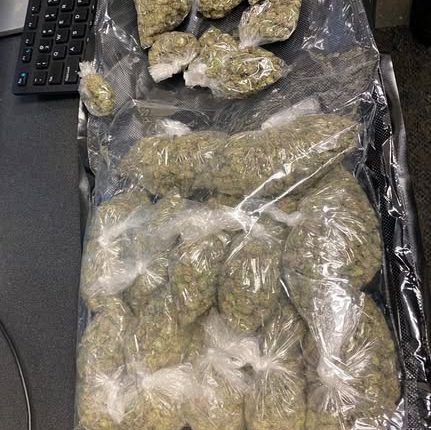 Man faces over 10 charges after reckless driving, Glynn officials say