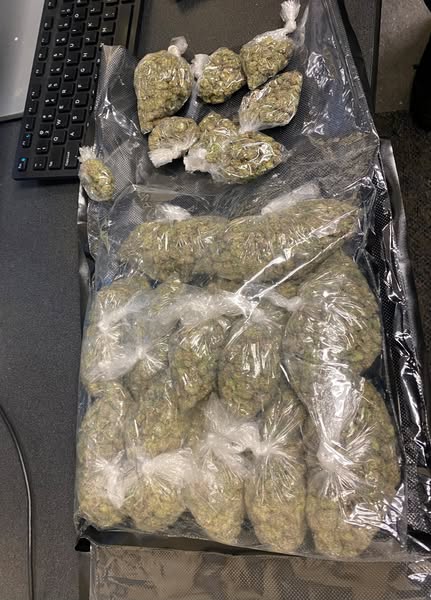 Man faces over 10 charges after reckless driving, Glynn officials say