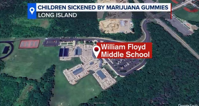 Marijuana gummies send nearly a dozen students at William Floyd Middle School in Moriches to hospitals