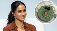 Meghan Markle Slammed for St. Patrick’s Day-Themed Waffle Recipe