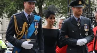 Meghan Markle Used to Always Say That Prince Harry and Prince William 'Had Different Parents,' Palace Employees Claim