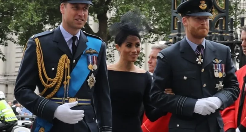 Meghan Markle Used to Always Say That Prince Harry and Prince William 'Had Different Parents,' Palace Employees Claim