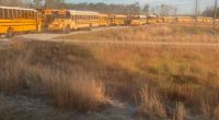 Metal detector launch brings problems at Effingham County High School