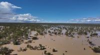 Military called in to assist Queensland amid flood disaster