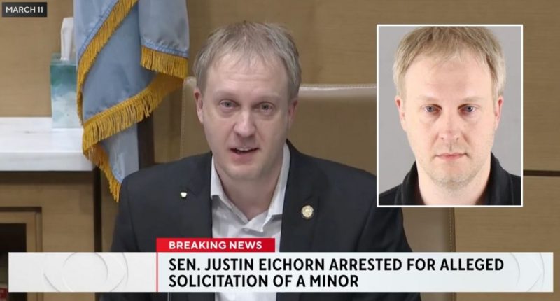 Minnesota Sen. Justin Eichorn sought child sex worker: Cops