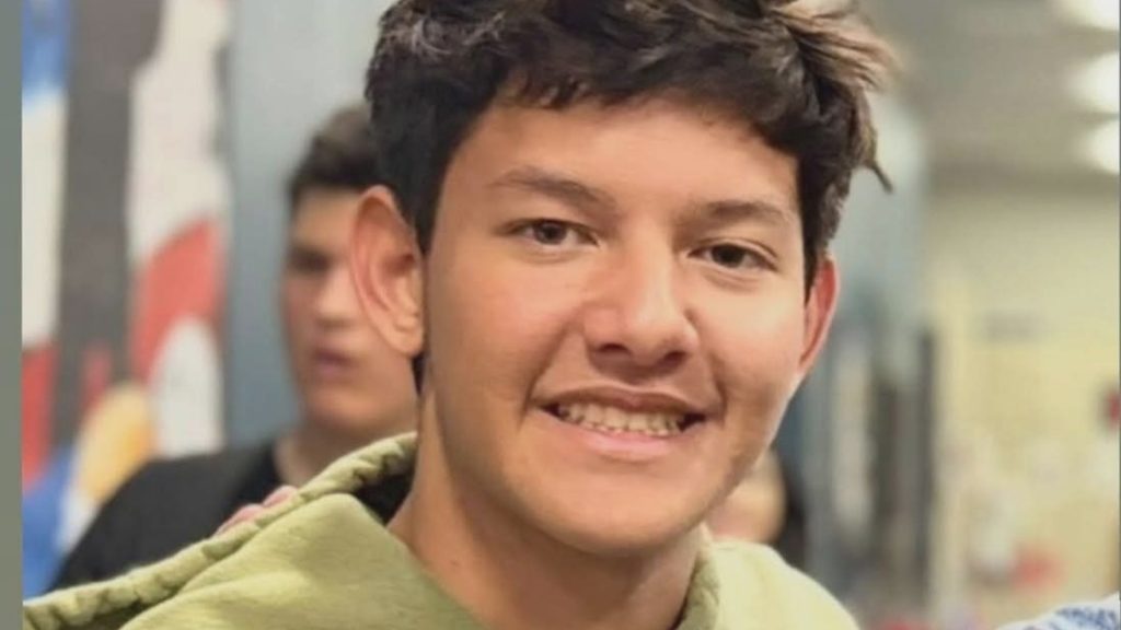 Missing 17-year-old Allister Nasr found dead in nature preserve