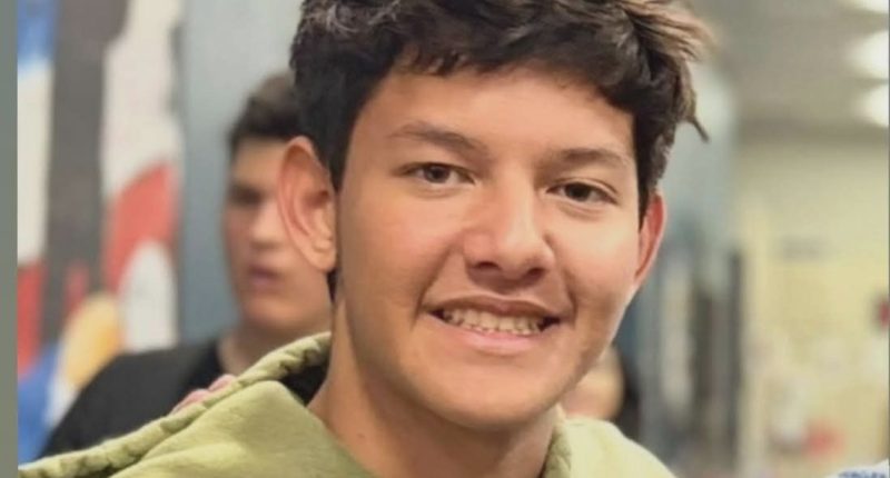 Missing 17-year-old Allister Nasr found dead in nature preserve