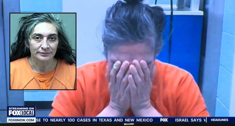 Mom allegedly sat with kids in subzero temps to avoid cops