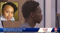 Mom found fatally stabbed during son's mental health day: DA