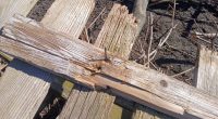 Monticello Police warns of prohibited items at Landscape Waste Facility
