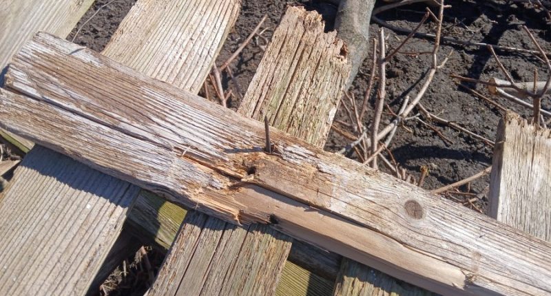 Monticello Police warns of prohibited items at Landscape Waste Facility
