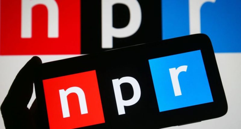More Americans say NPR, PBS should be federally funded than not: Survey